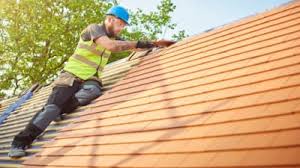Best Roof Leak Repair  in North Utica, IL