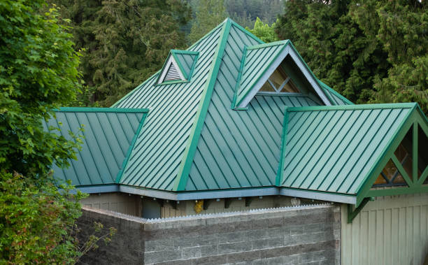 Best Skylight Installation and Repair  in North Utica, IL